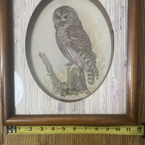 Vtg Rustic Owl Shadow Box Framed Matted Art by Artist E. Rambow with Signature - Picture 2 of 5